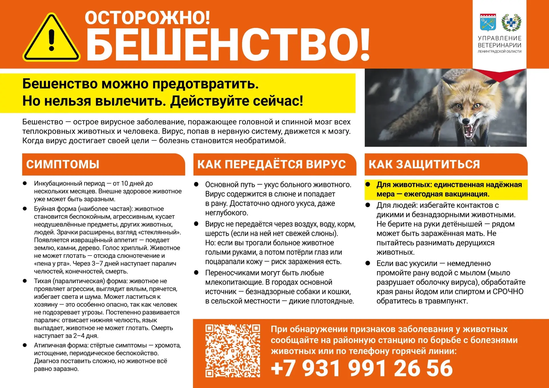 🛑ОСТОРОЖНО: БЕШЕНСТВО!