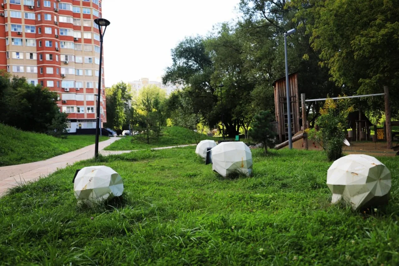 В 48-м квартале Кунцева поселилась необычная компания: среди детских площадок и газонов...