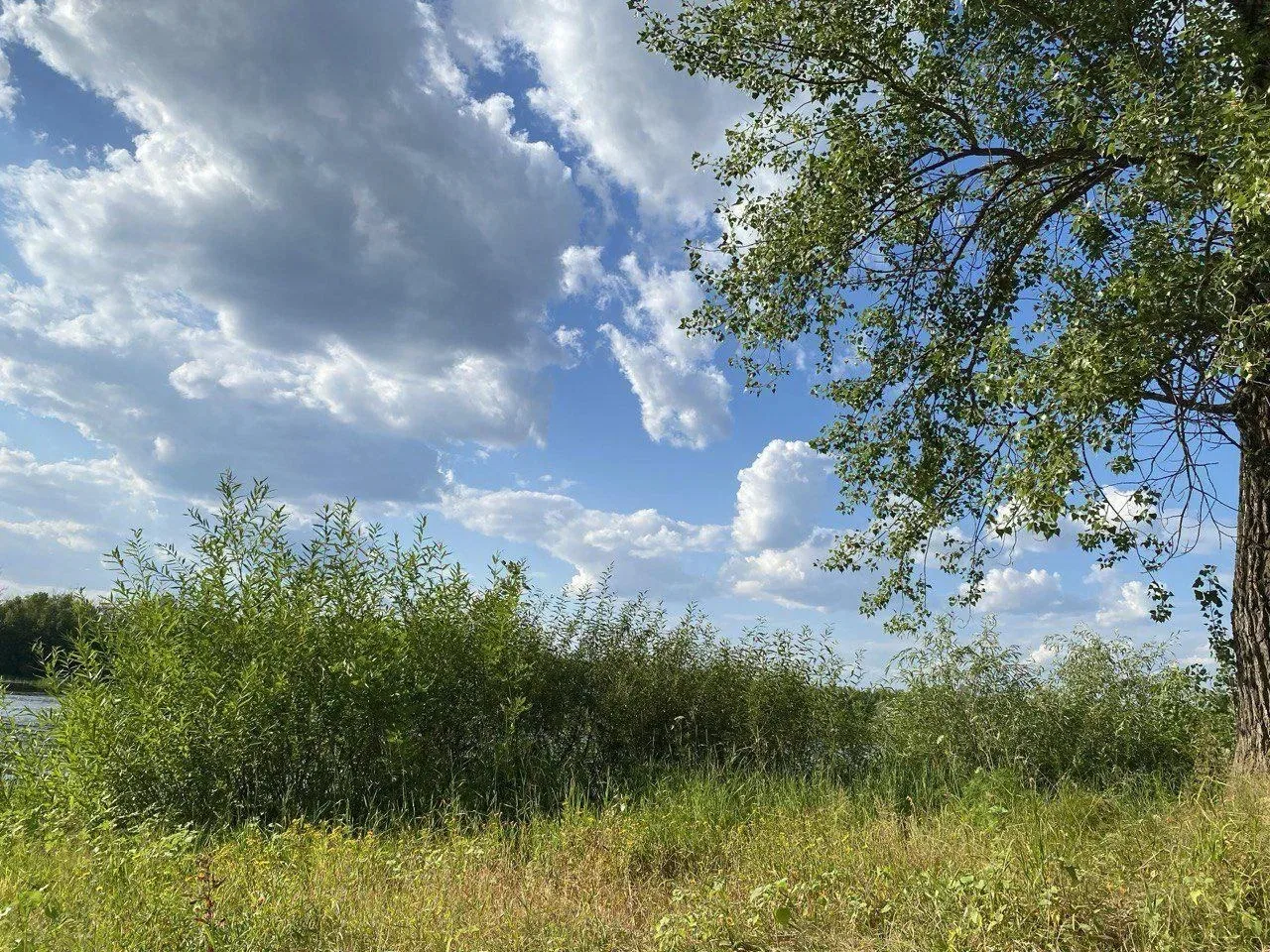 Доброе утро, жители Подлесновского МО! ☀️

🗓Сегодня 20 июня 2026 года, суббота.

❓Какой праздник от