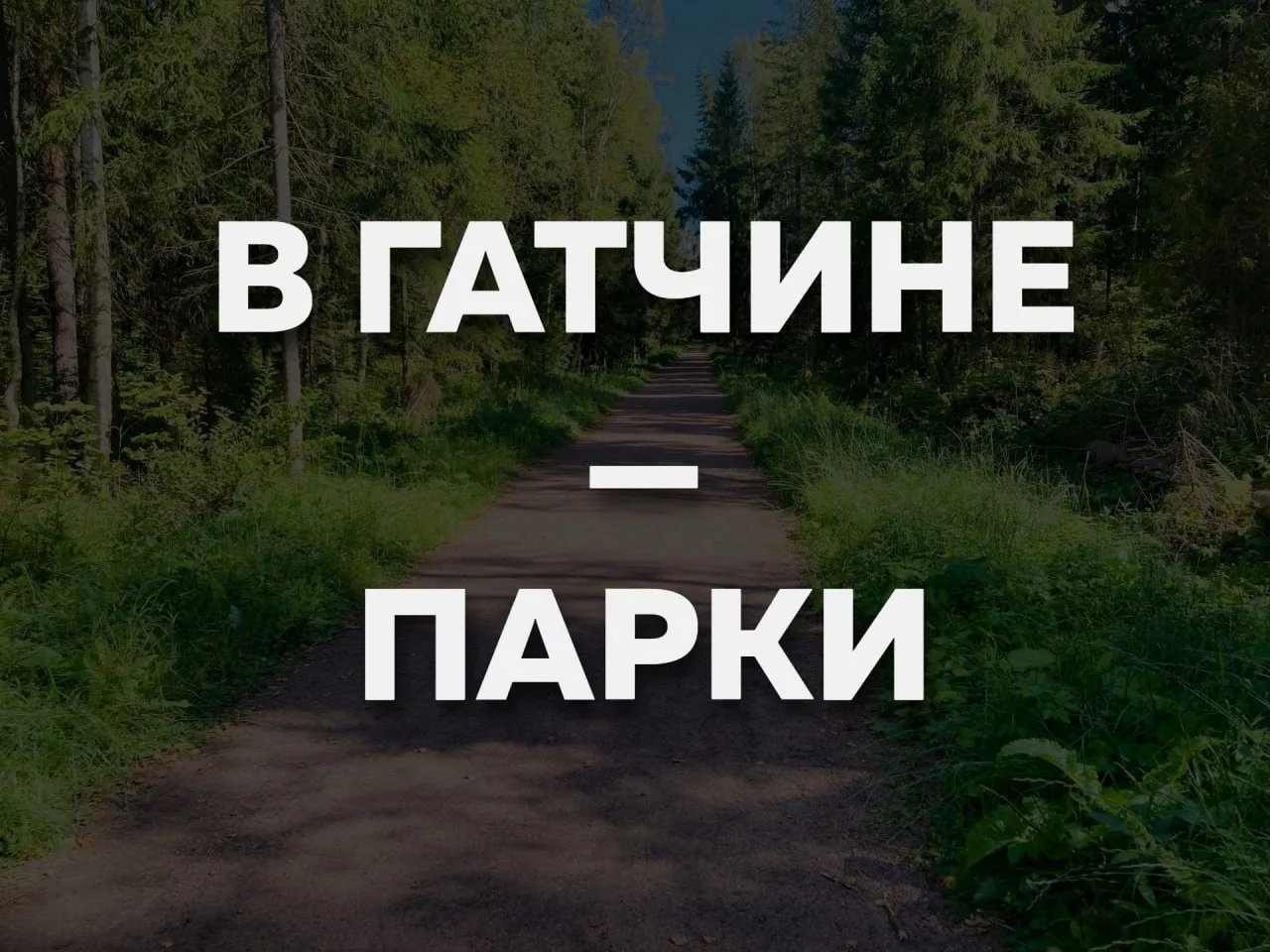 Где бегать в Гатчине? Например, в парках.

📍"Дворцовый парк" — старейший из комплекса гатчинских па