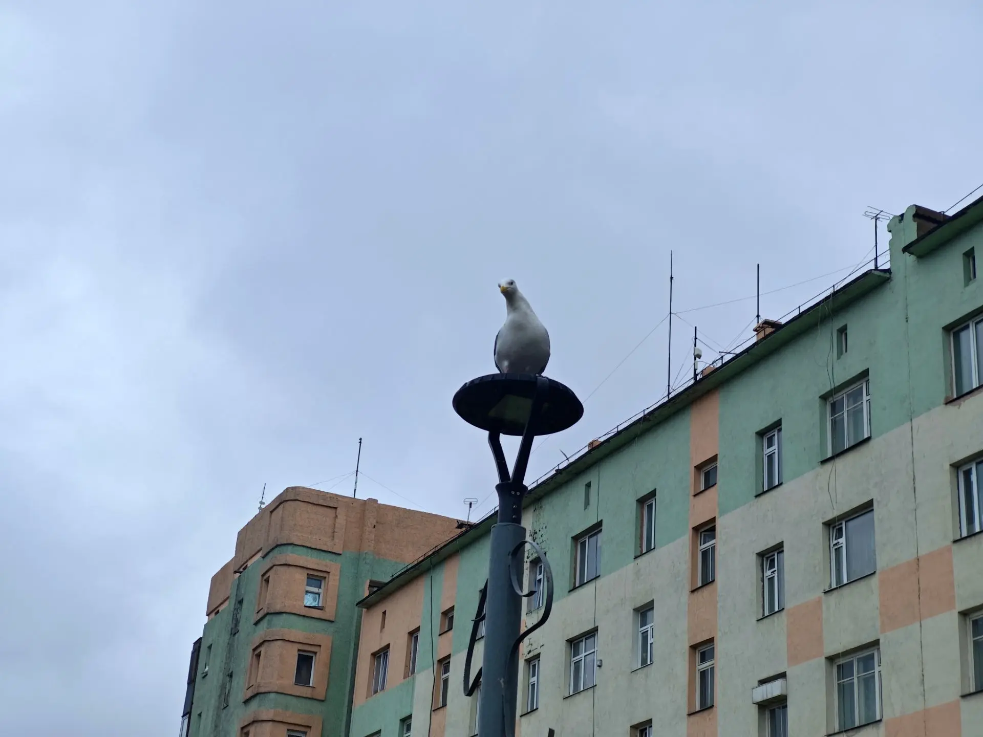 Доброе утро ☔