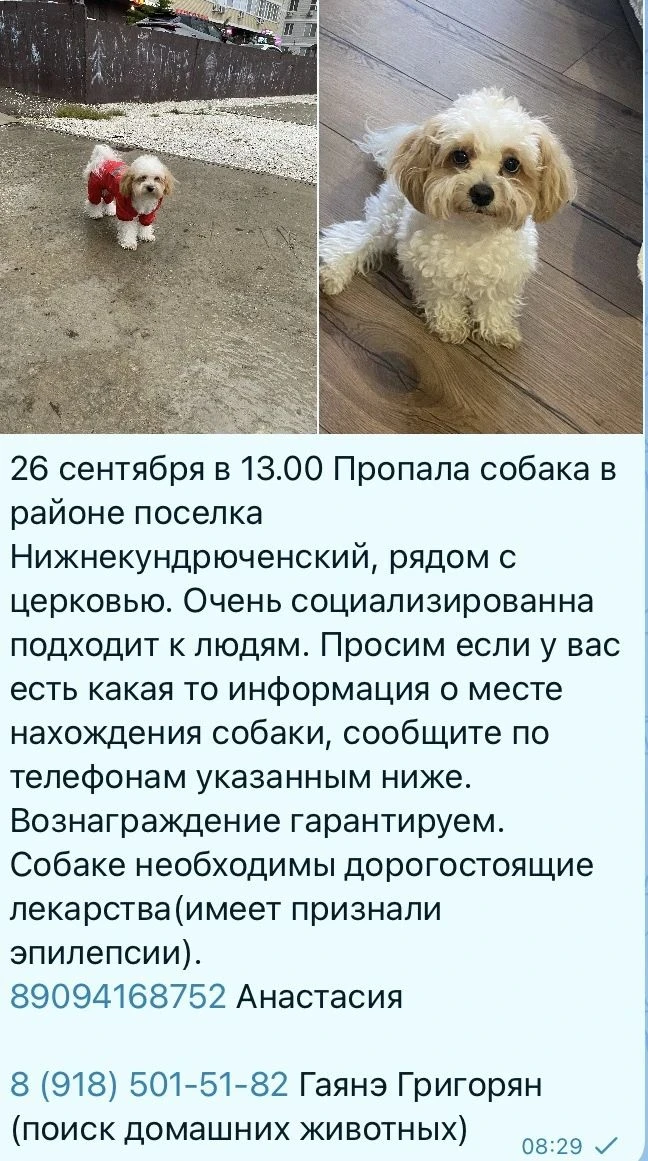 Продалжаются поиски нашей любимице, не оставайтесь равнодушными, сделайте репост🙏🙏🙏....