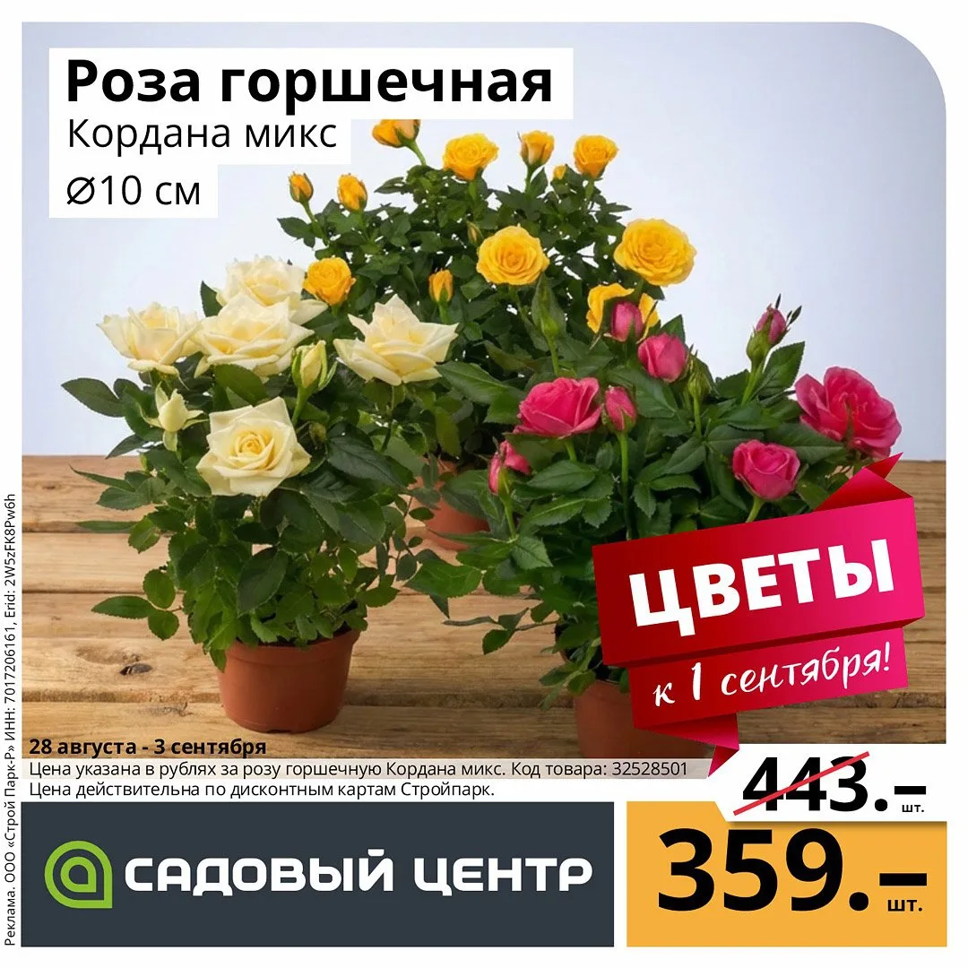 Акция!