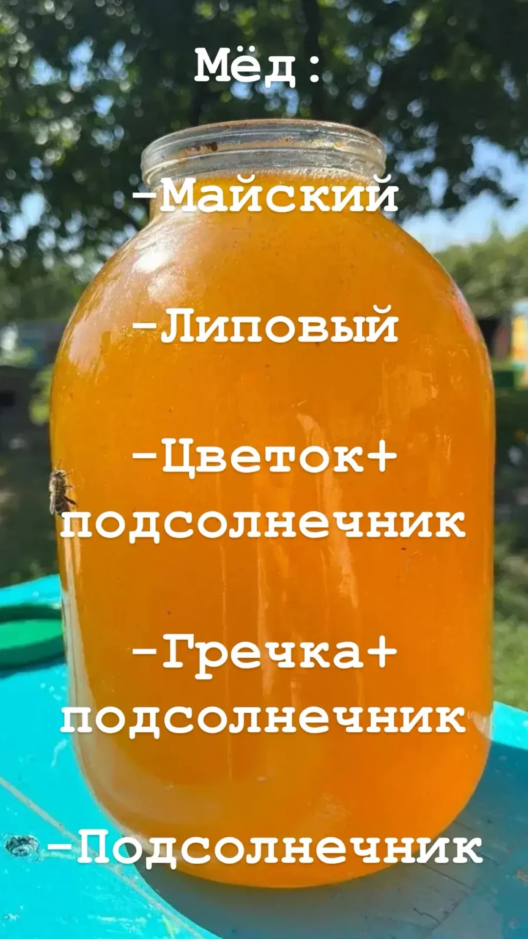 Здравствуйте ☀️