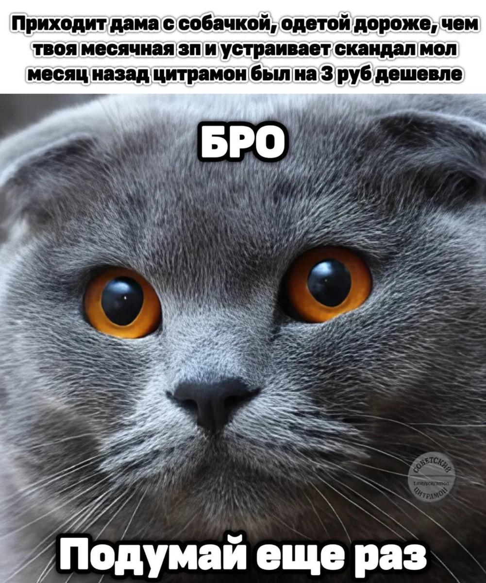 Цитрамон. Подписаться
