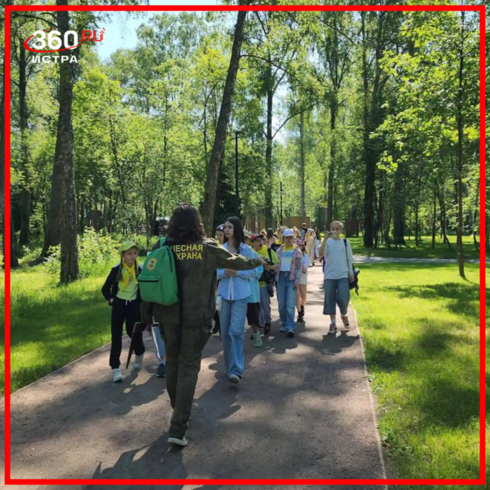Более 330 детей приняли участие в «Лесных лабораториях» в Подмосковье🌳

Проект реализуется в рамках