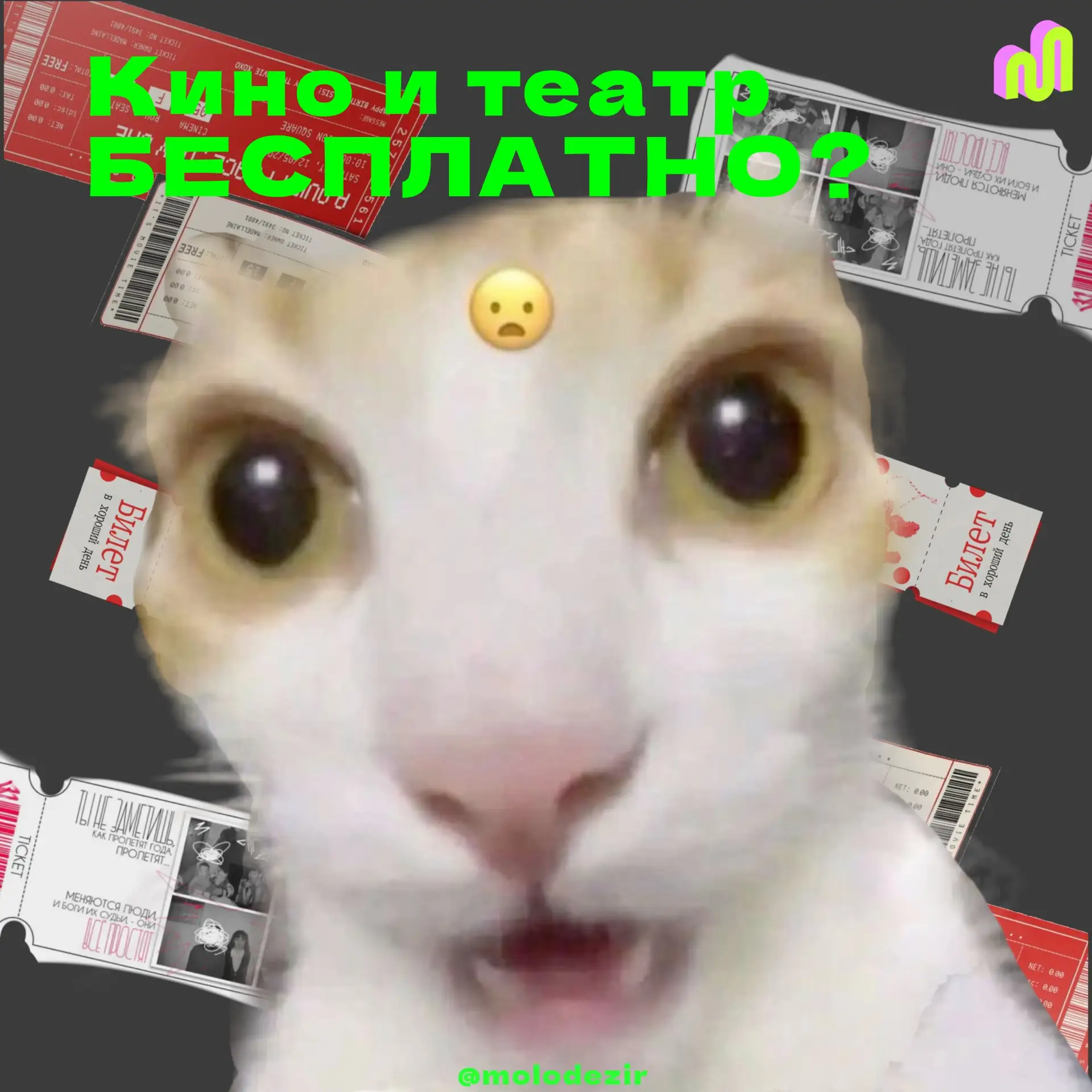 🎭Хочешь ходить на культурные мероприятия бесплатно?