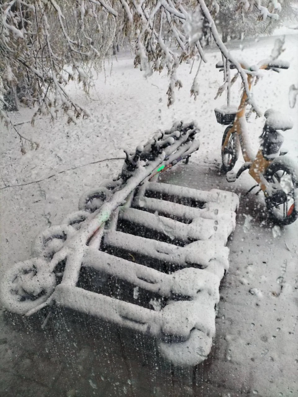 ❄️ В Москве остановили аренду самокатов.  «Операторы аренды электросамокатов и велосипедов поставили