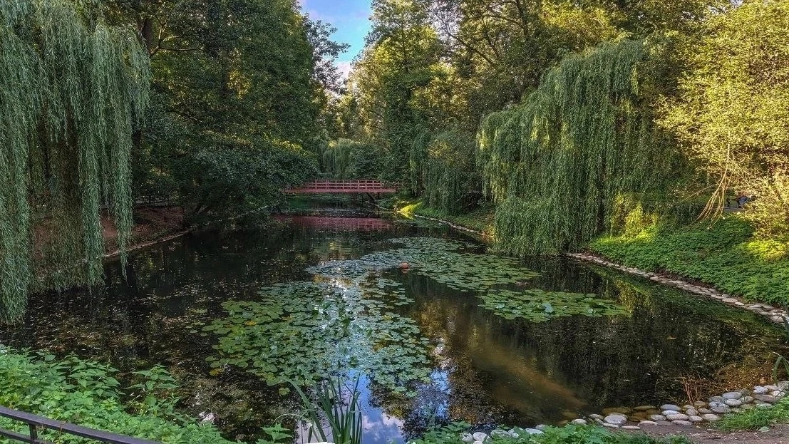 Наслаждаемся последними летними деньками в парке. 🍃☀