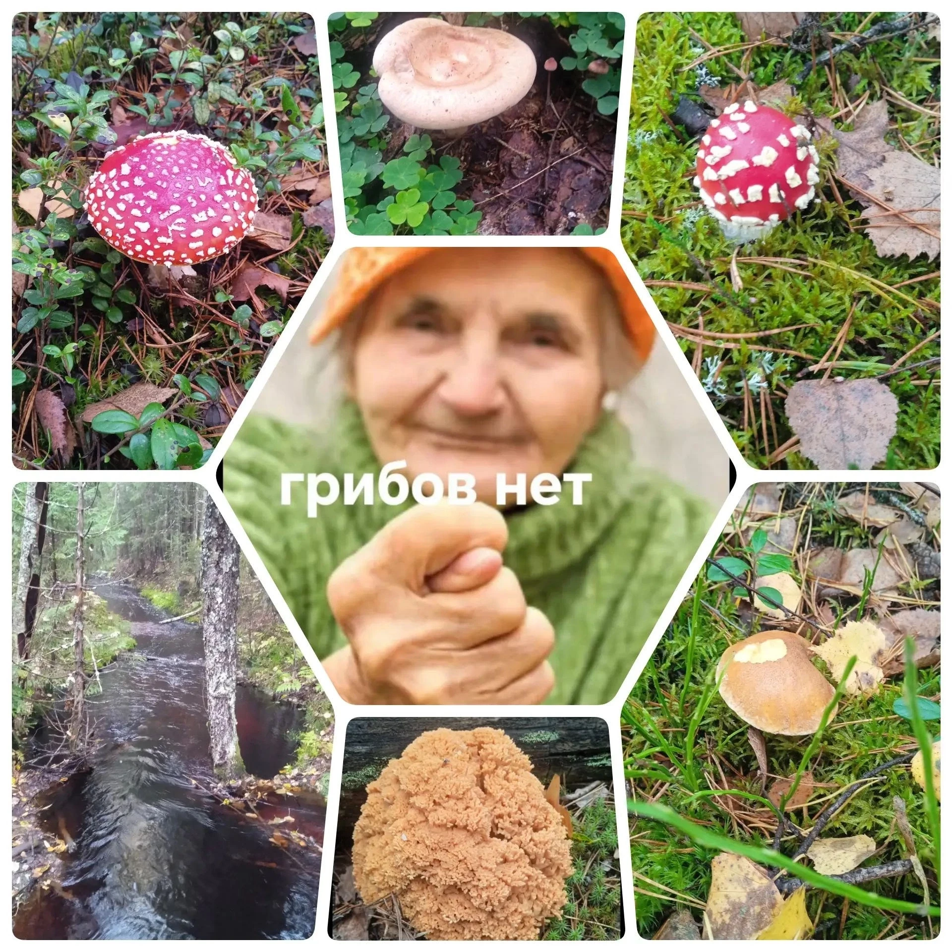 24 сентября. Выборгский р.
