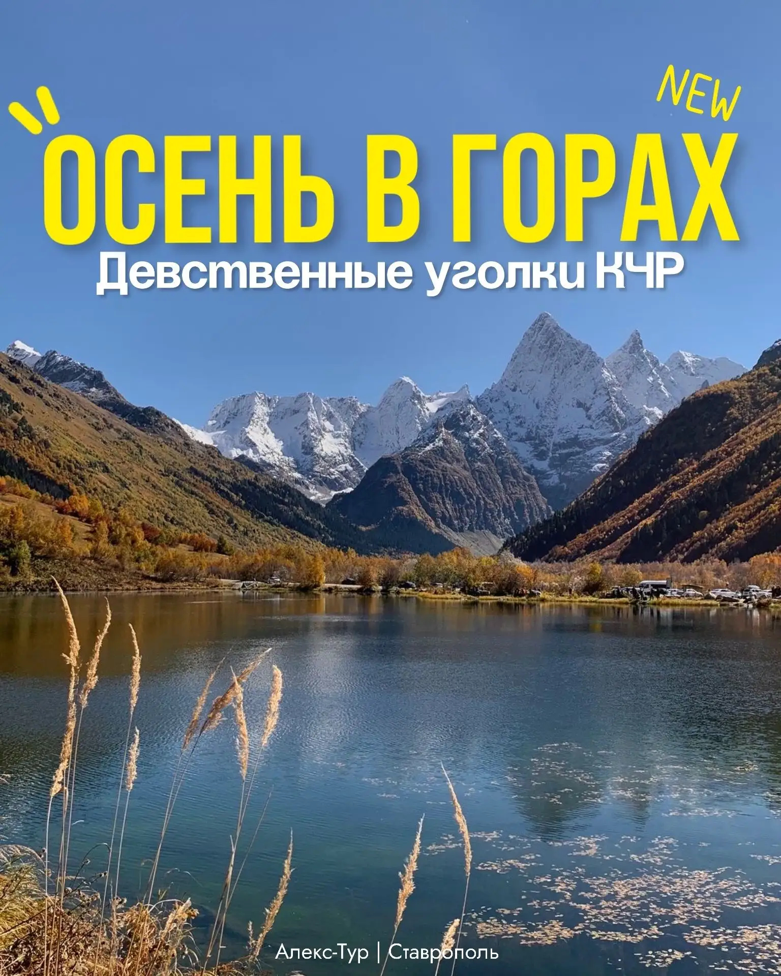 Алекс-Тур💛