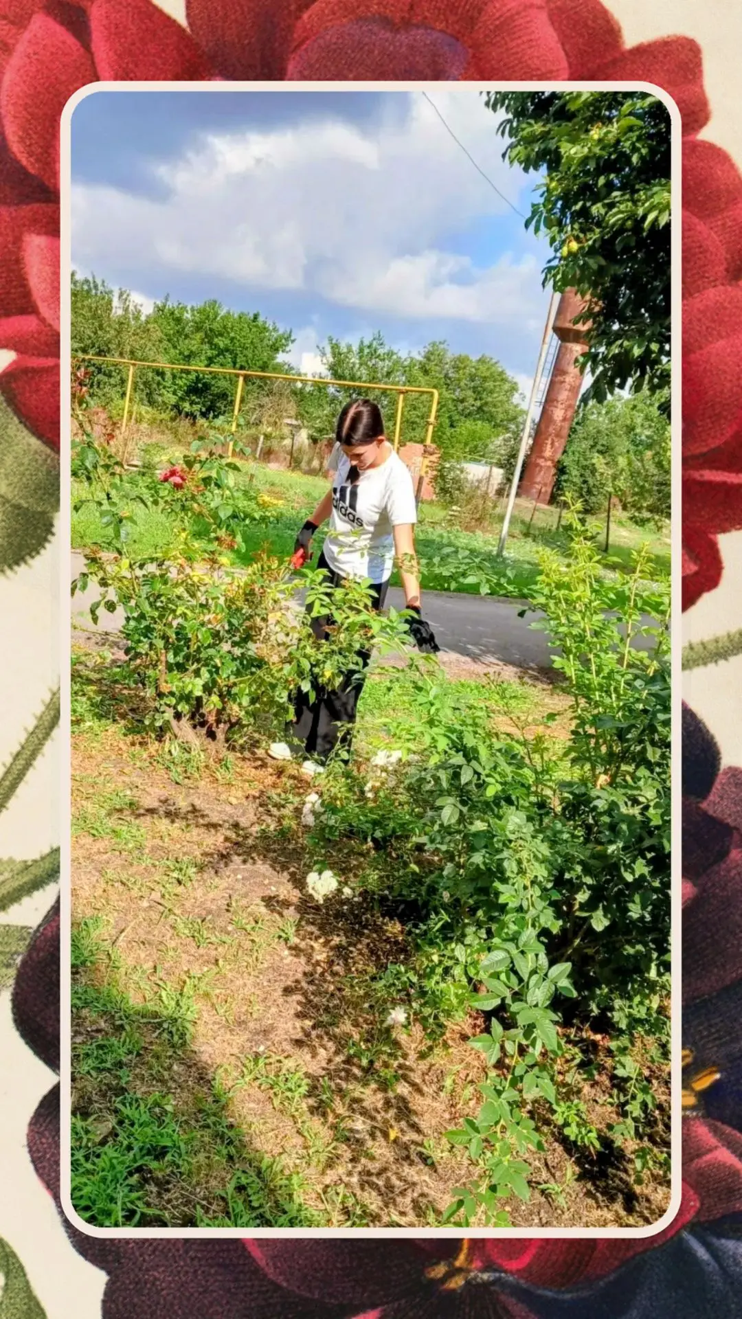 Красота своими руками👍
☀️Этим летом юные работники МКУ «ПЭ и СЦ Раздольненского сельского поселения