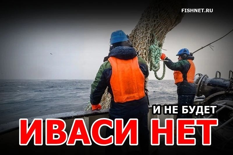 🐟 Надежды российских рыбаков на возвращение к высоким показателям вылова иваси пока не...