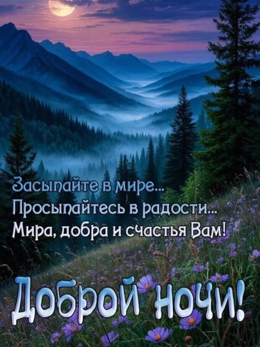 Спокойной ночи!😴