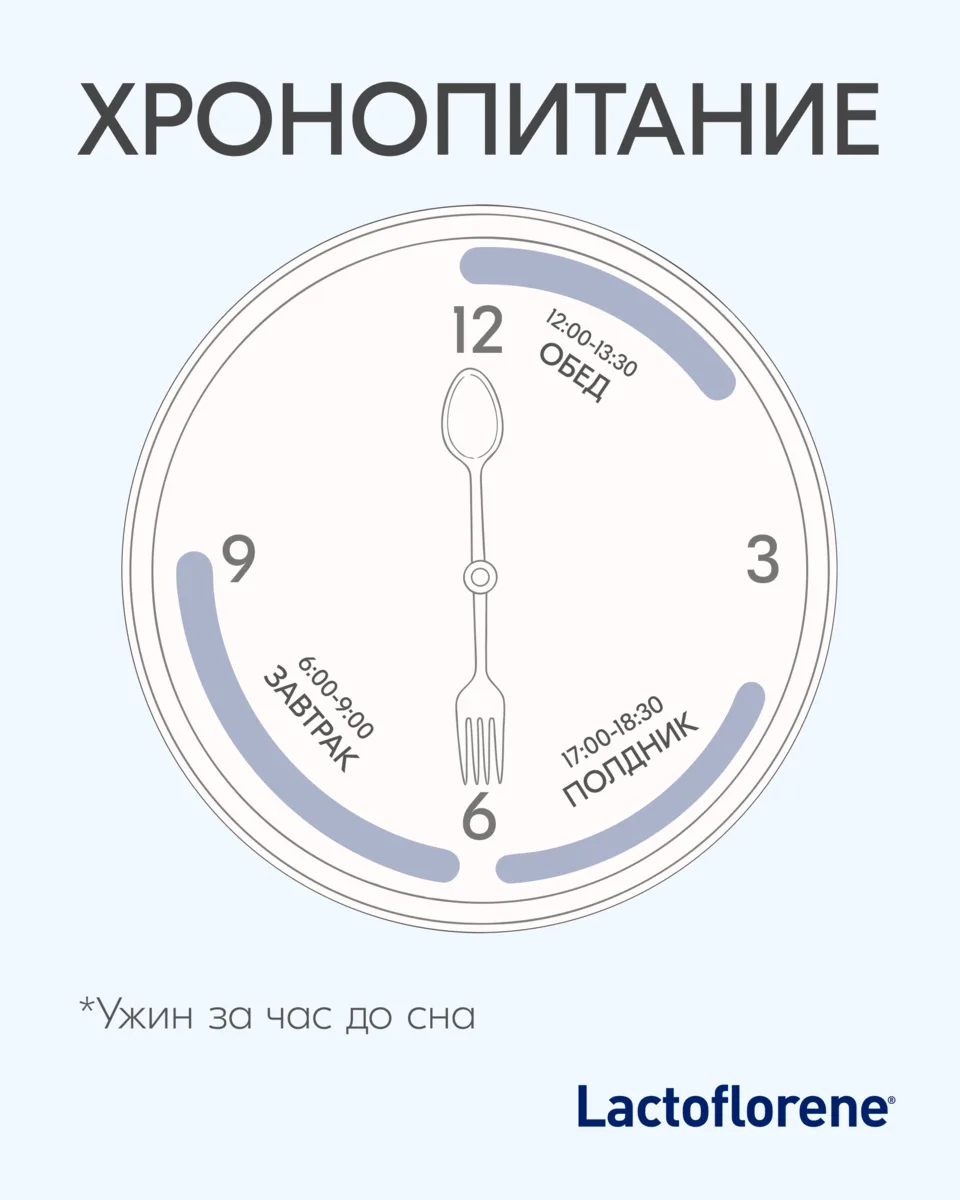 Хронопитание: едим по графику ⏰