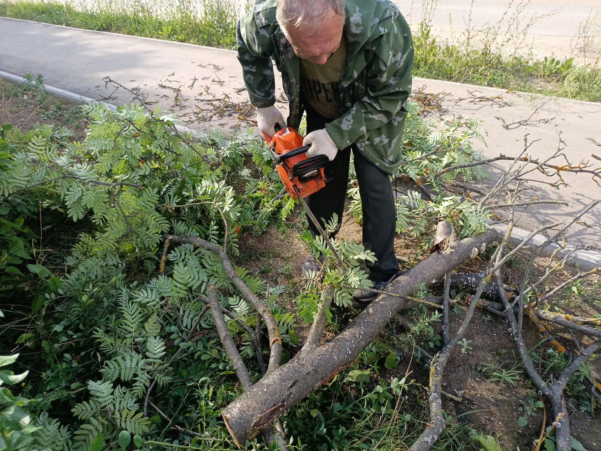 🎉 Большое спасибо нашим замечательным родителям! 🎉

Сегодня пришкольная территория стала заметно у