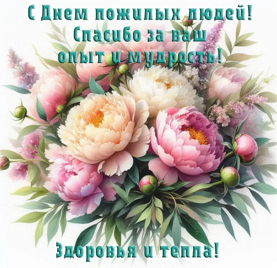 #декадапожилыхлюдей