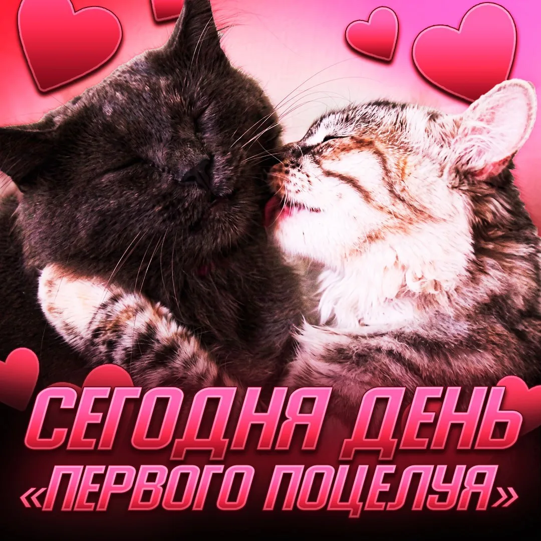 Изображение 1 к публикации «Central TikTok»