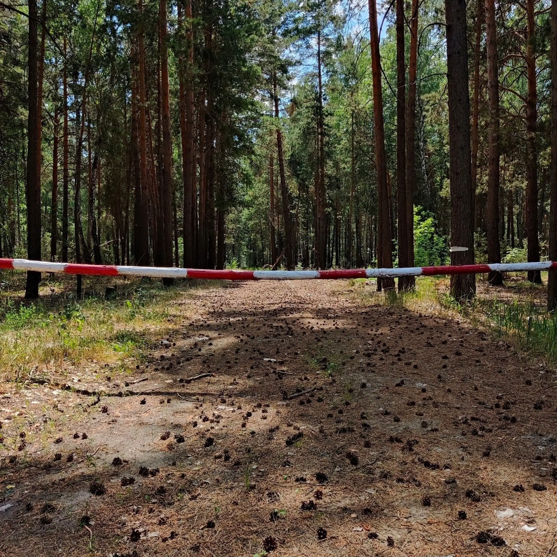 В Кургане мать будут судить за питбайк, на котором ее 15-летний сын врезался в шлагбаум