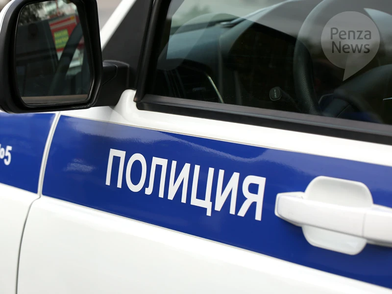 До шести лет лишения свободы грозит жительнице Заречного, которая оформила договор займ...