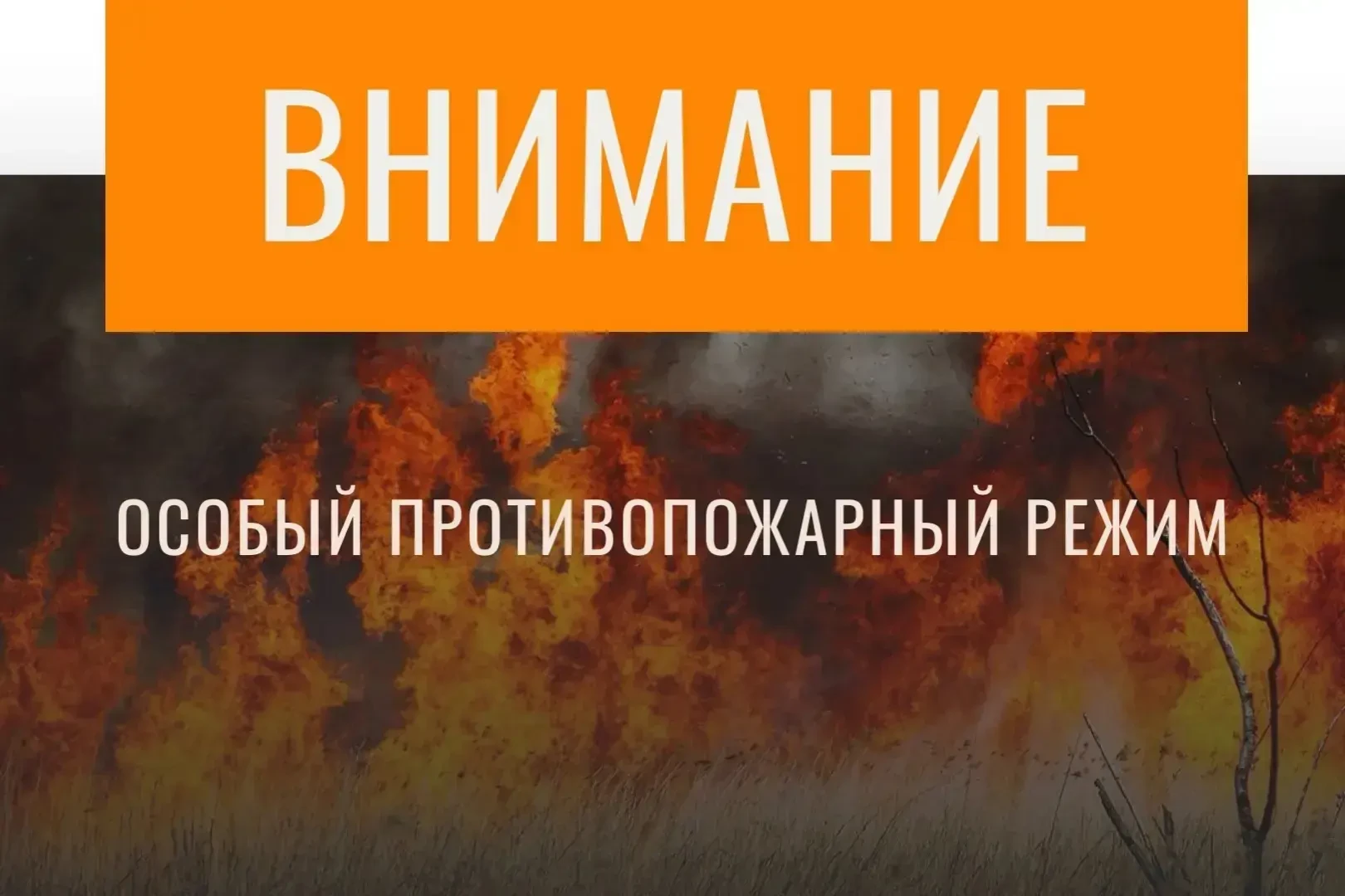 В брянских лесах введён особый противопожарный режим
Сообщает региональное управление МЧС.
В это вре