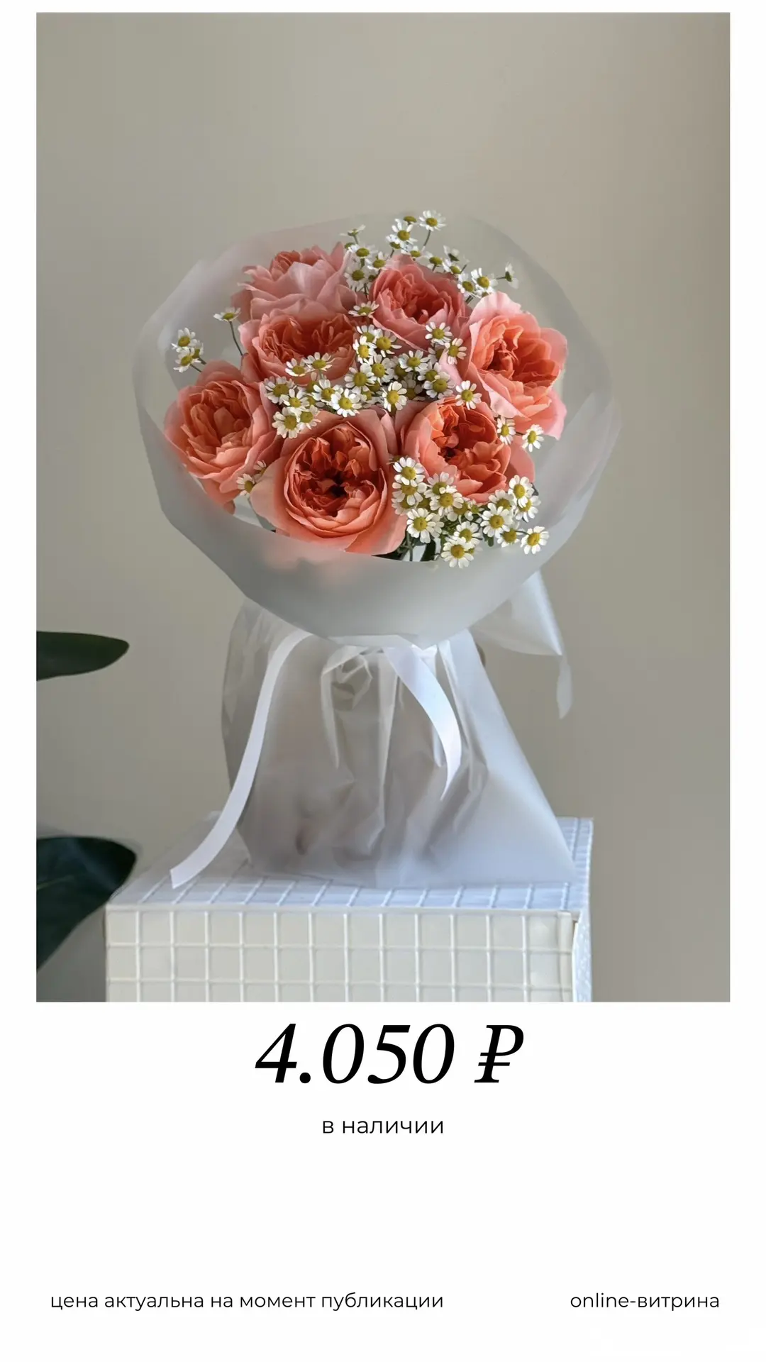 Свежие варианты на витрине до 6.000₽ 💛