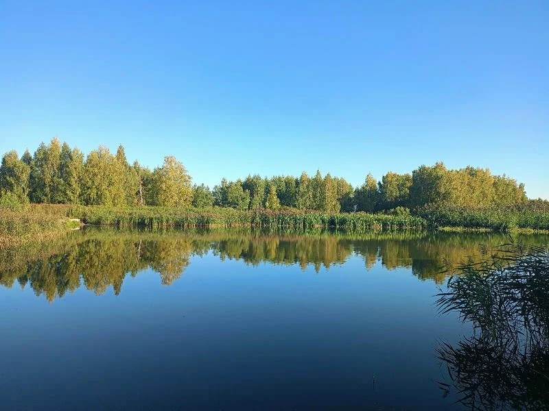 🍂☀️🍁Отражение осени