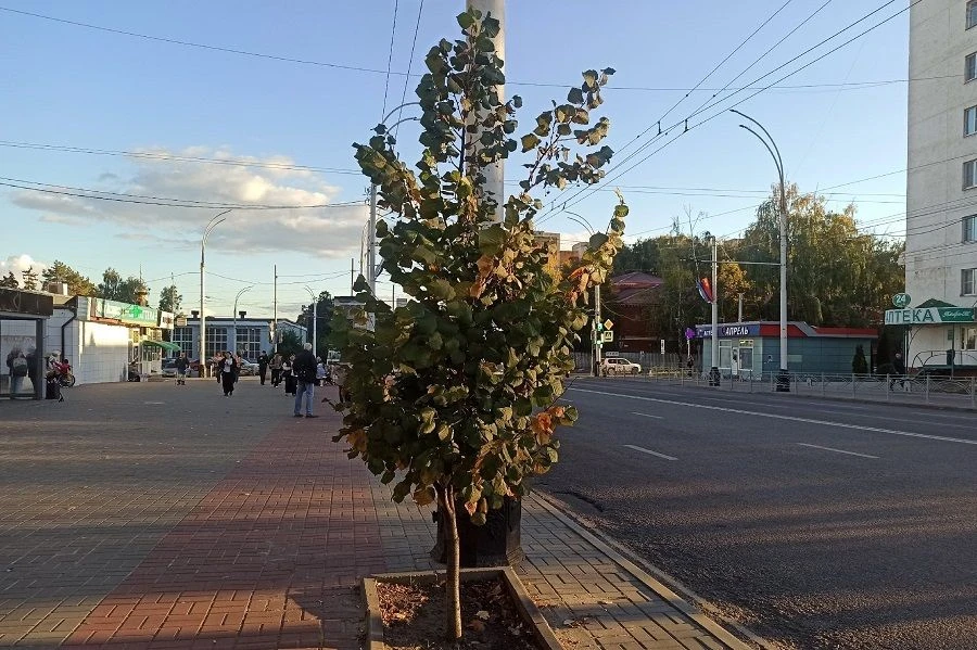 ❗️ЭКСКЛЮЗИВ ❗️