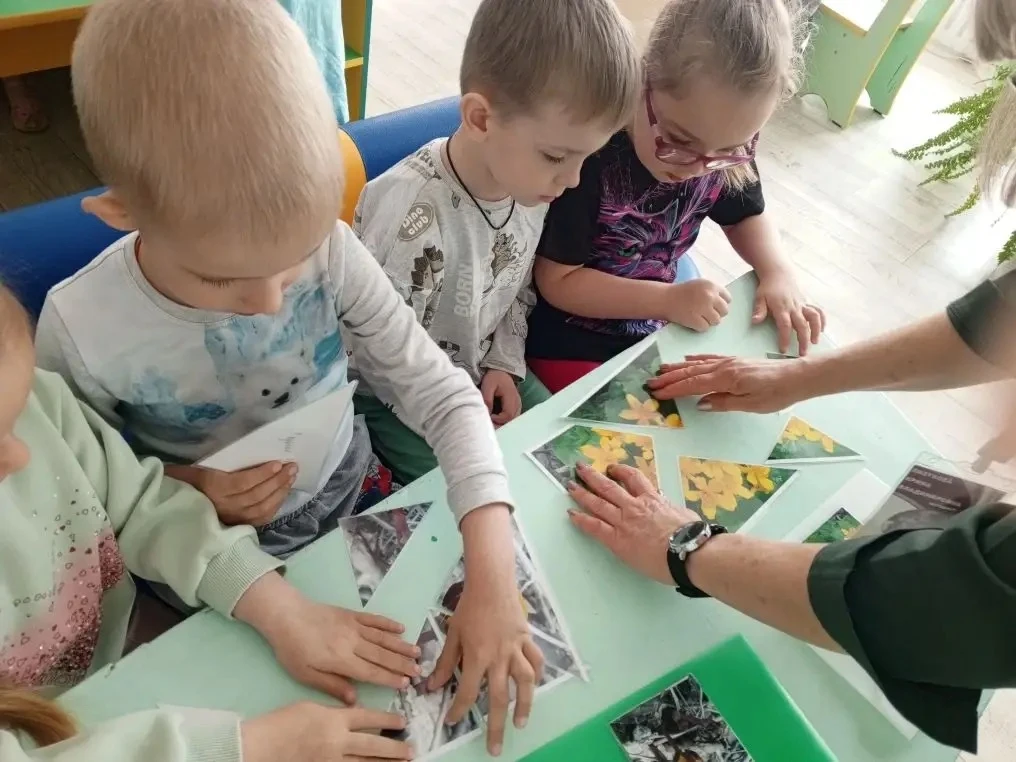 ✨ Музейный урок о первоцветах: первые вестники весны!  Сегодня в старшей группе прошёл увлекательный