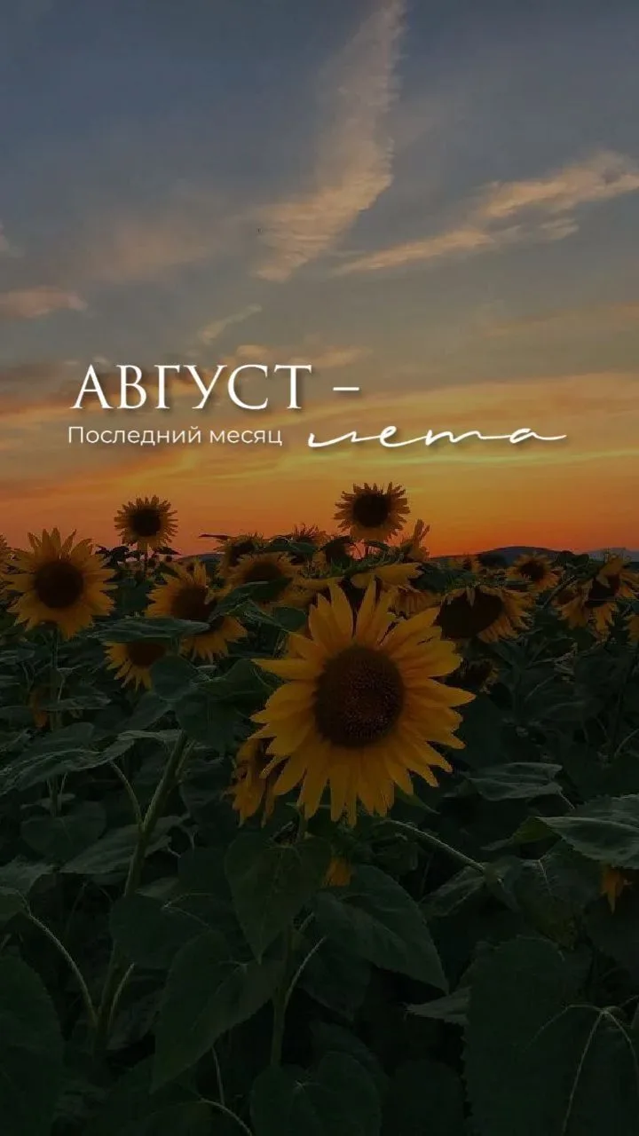 🍂 А завтра уже август

Родители, хватаем детей! Сегодня 31 июля, а это значит, что завтра наступает