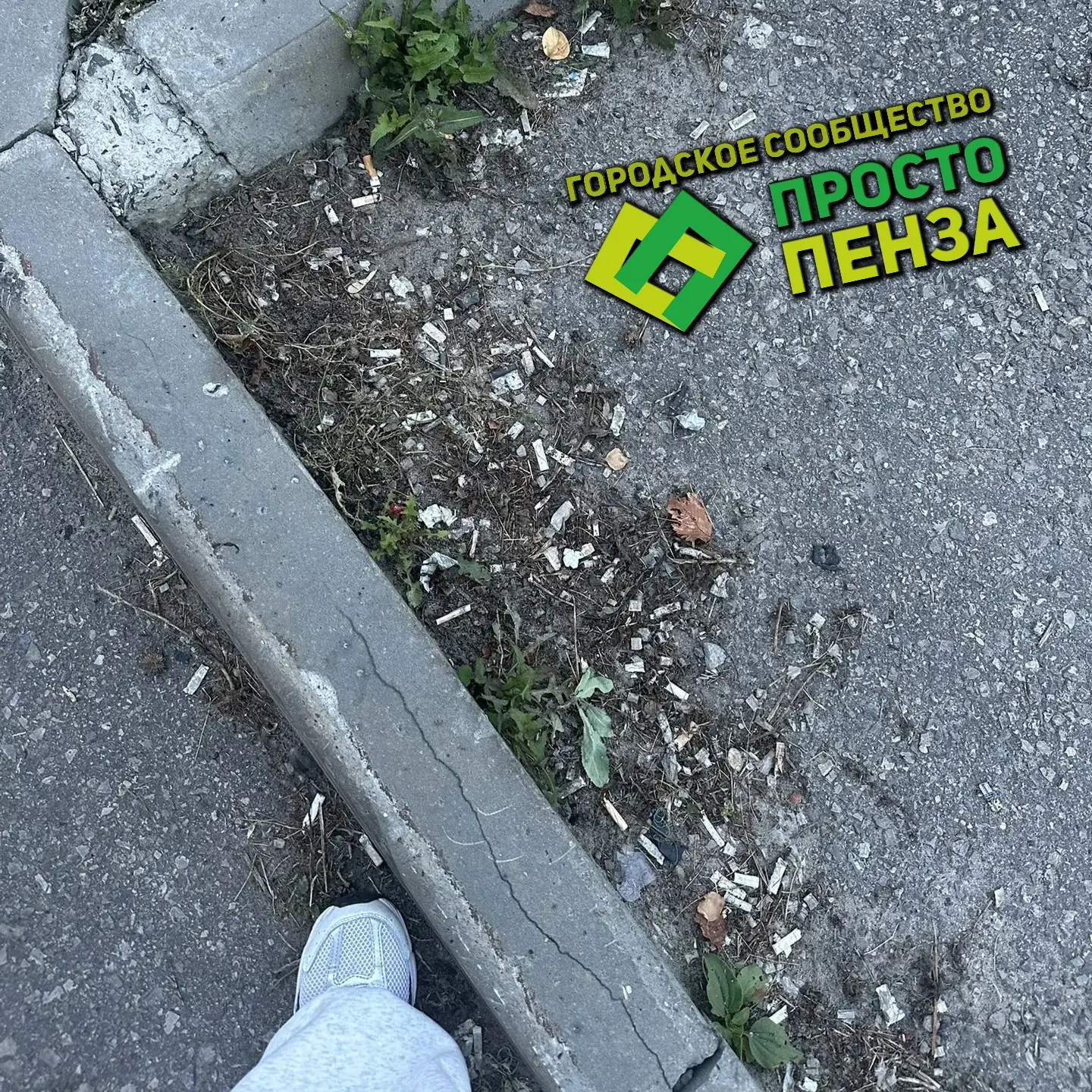 Жители Пензы обращают внимание на неудовлетворительное состояние территории возле МРЭО ...