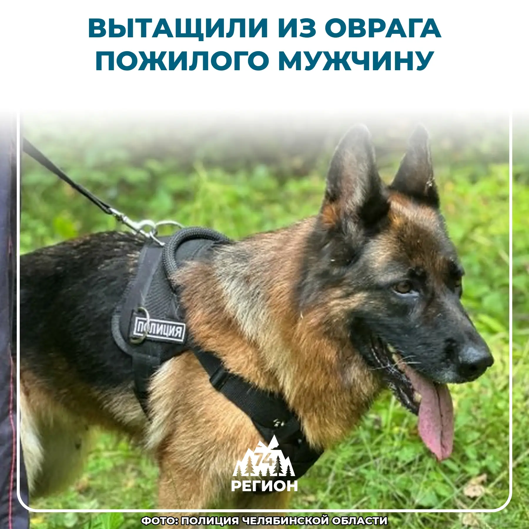 🔍 Пропавшего пенсионера нашли в лесу под Южноуральском

В Южноуральске полицейские спасли 71-летнег