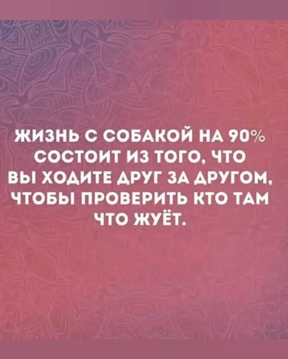 Дамы, садитесь ржать! 😜