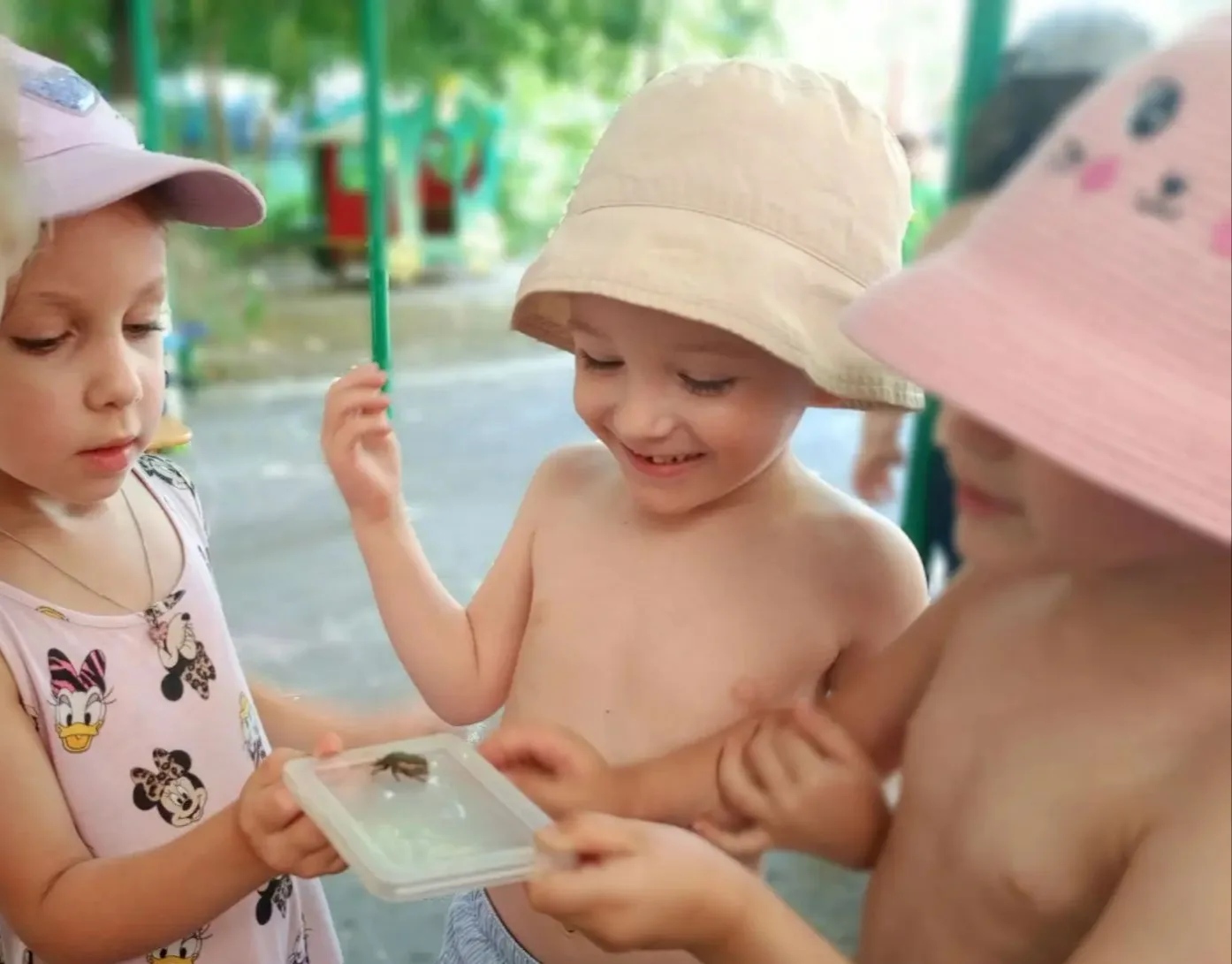 🐞В средней группе 2 прошёл День насекомых. В течение всего дня ребята с интересом наблюдали за насе