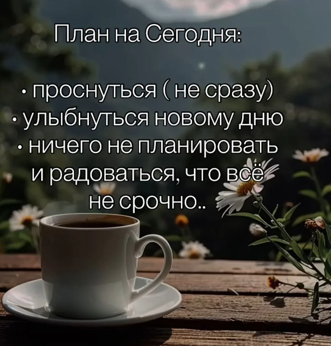Доброе утро 🌞
