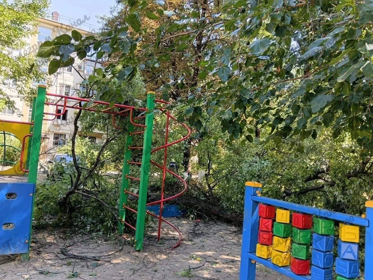 Дерево упало на детскую площадку. Дети успели убежать. Краснодар. Димитрова 137

Подписаться на кана