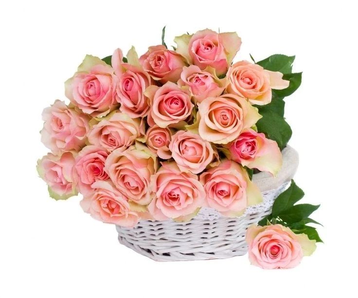 🎉ПОЗДРАВЛЯЕМ С ДНЕМ РОЖДЕНИЯ!🌹🌹🌹🌹🌹🌹🌹