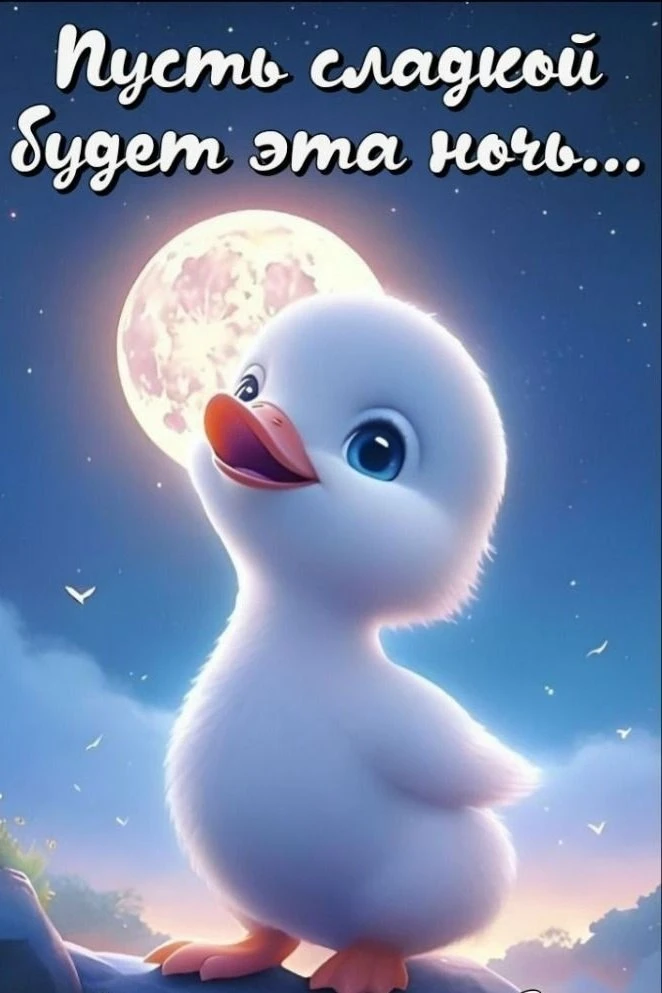 Доброй ночи! Чудесных сновидений! До завтра! ✨🌙