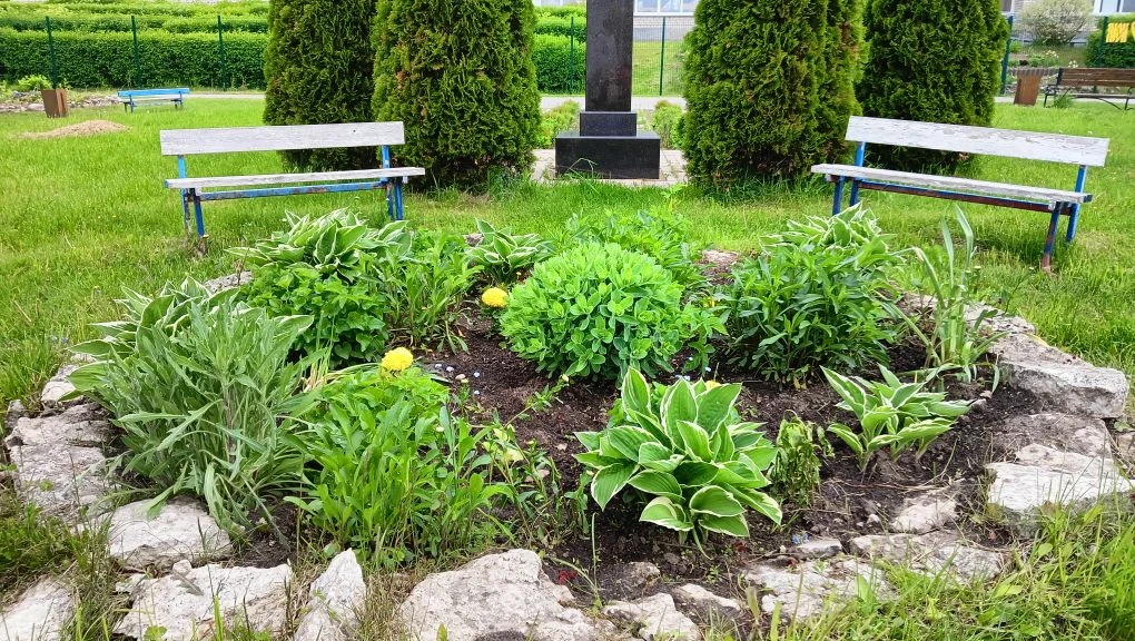 ✨Уважаемые родители!✨
🌱Выражаем вам благодарность за то, что вы не остались равнодушны к нашей прос