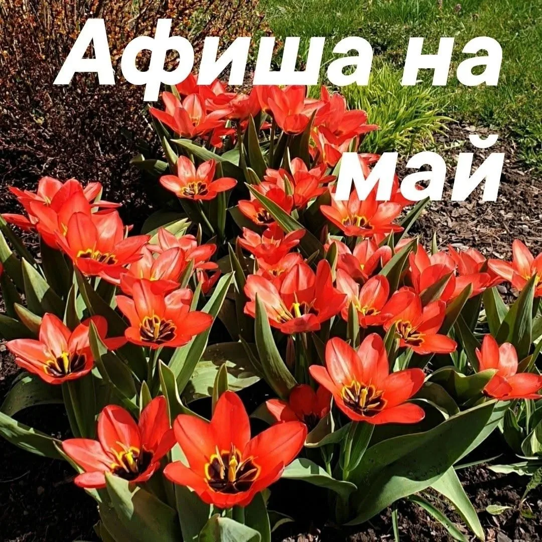 Скоро майские праздники — самое время спланировать культурный отдых и отправиться в старинные усадьб