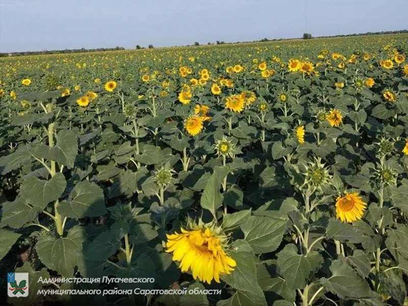 ☀️Метеорологическая обстановка, прогноз опасных и неблагоприятных метеорологических явл...