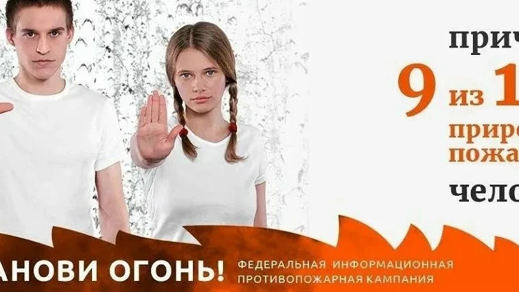 Лесные пожары в России в 88–98% случаев возникают по вине человека (антропогенный факто...