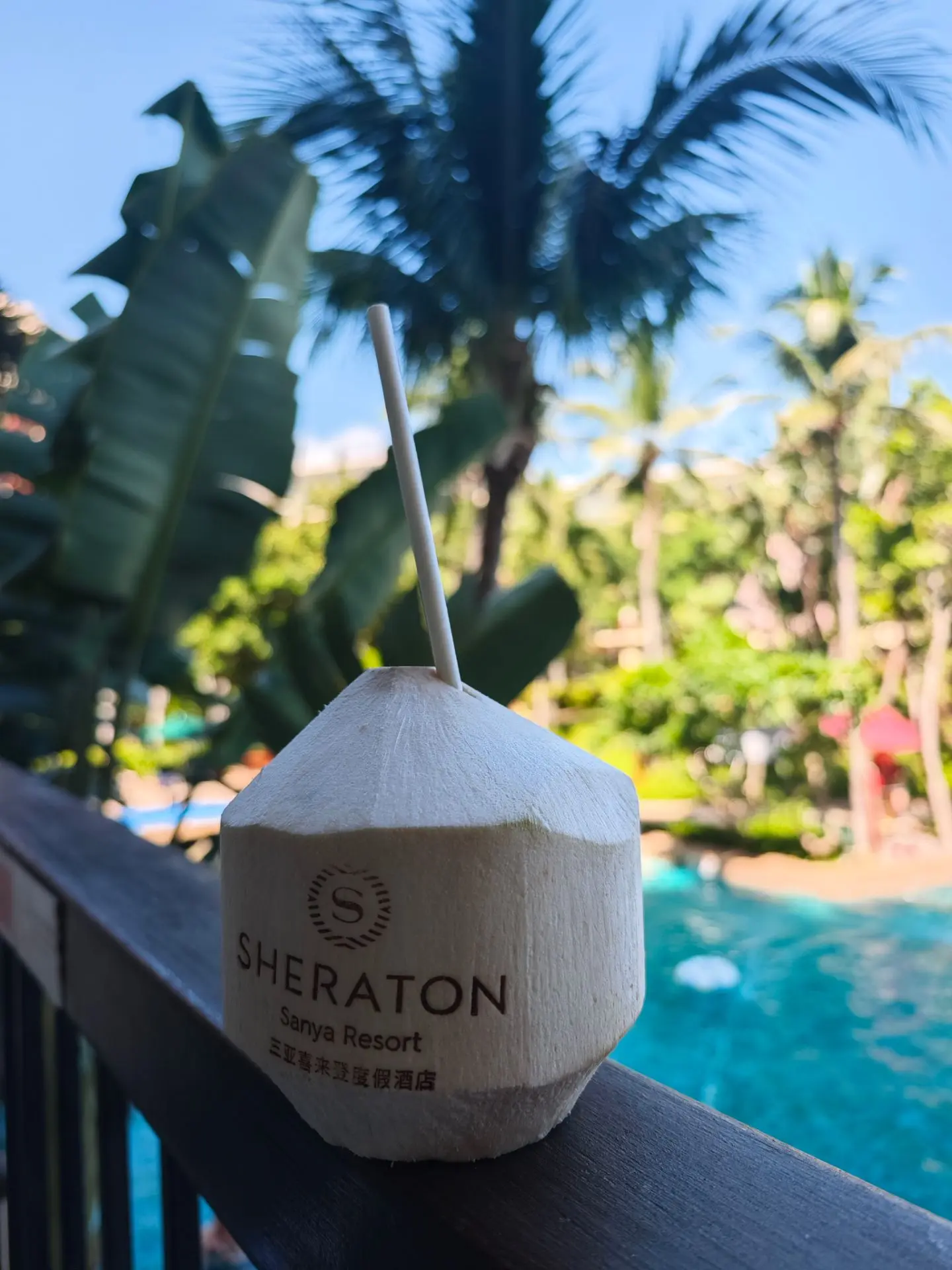 🌴🥥