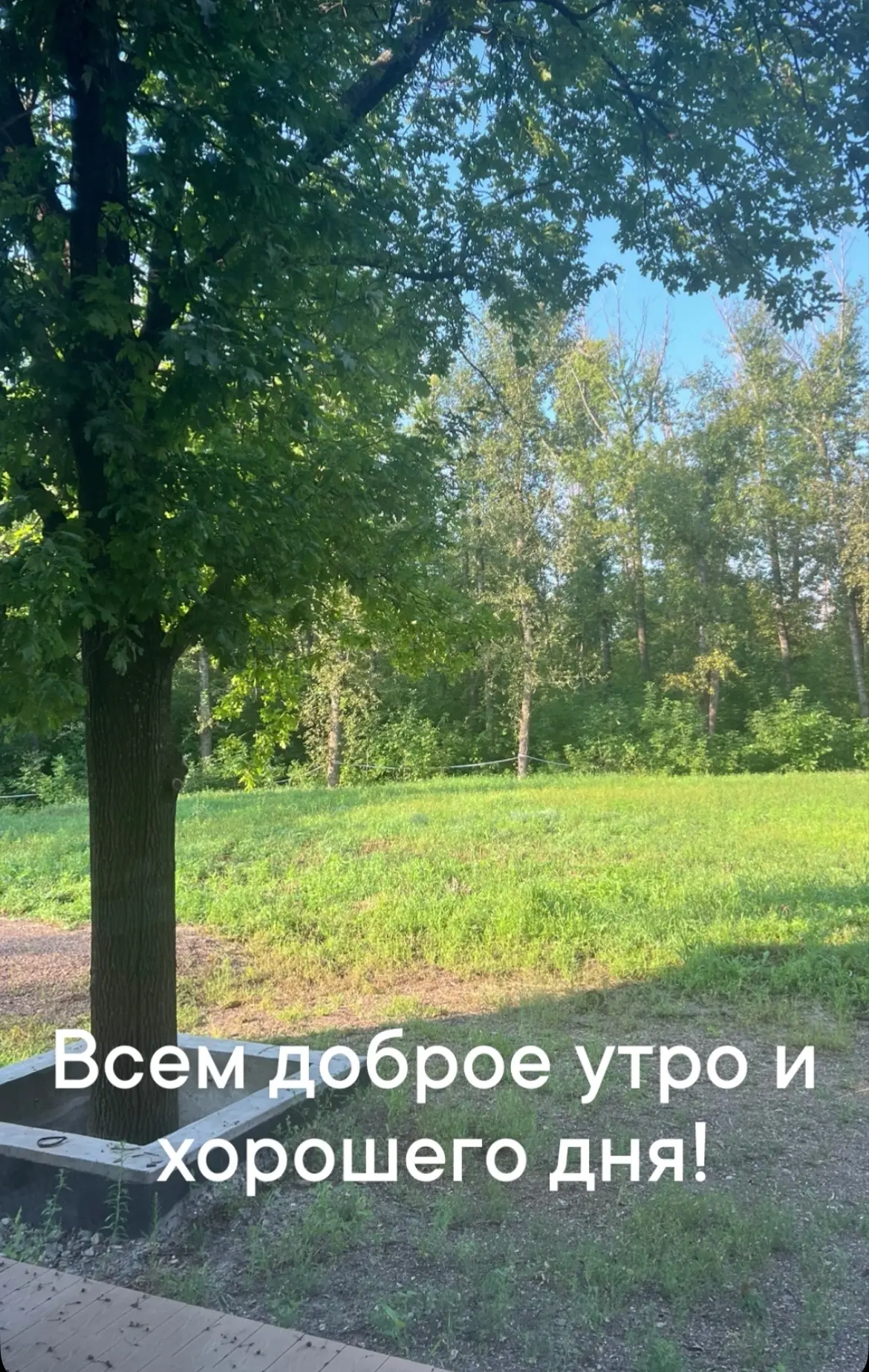 У меня в планах на сегодня тренировка в зале, домашние дела и дела - развлечения девочек.

У девочек