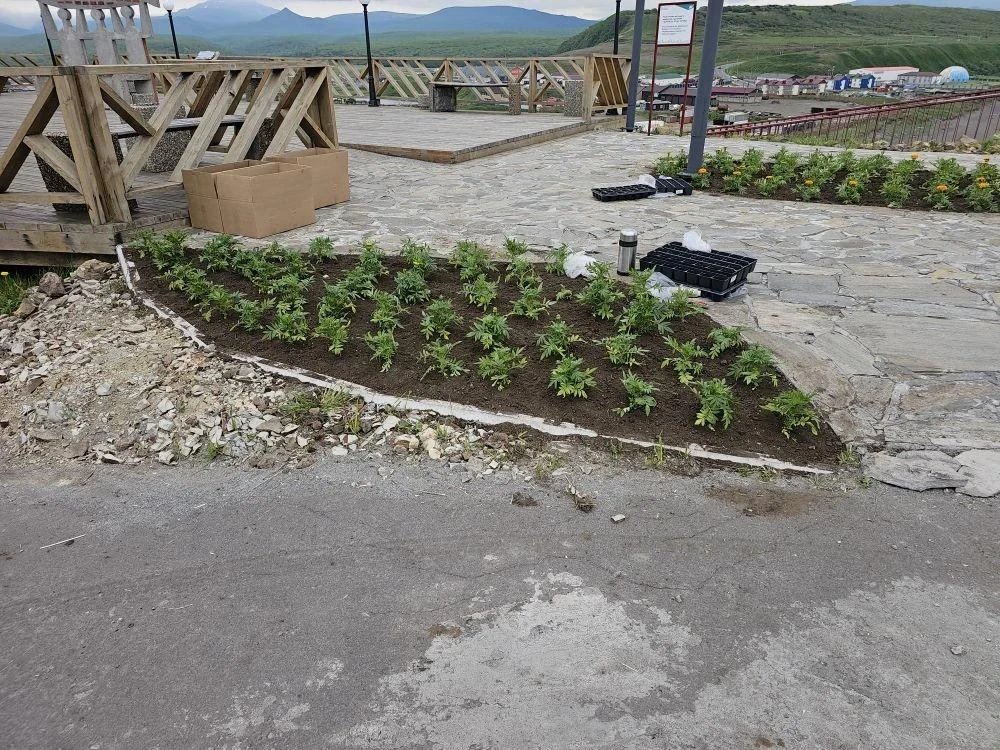 Сегодня нам пришли по-настоящему тёплые и красивые фотографии от наших подрядчиков. Это не просто пр