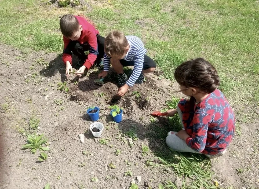 🥦🫛Мы сажаем огород, 
Посмотрите, что растет! 
🍅🍆Наши дошколята посадили на мини-грядках картофел