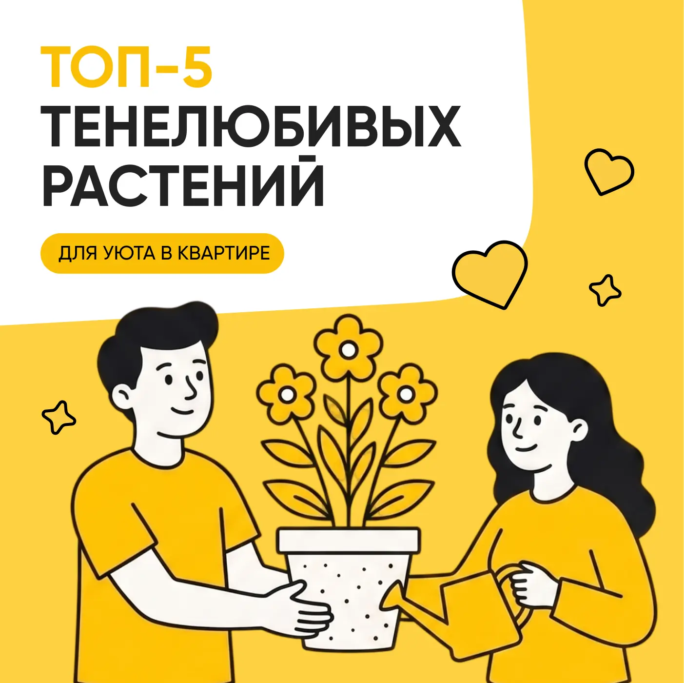 🪴 Топ-5 тенелюбивых растений для уюта в квартире