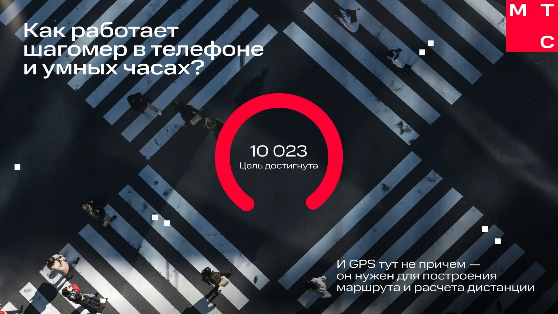 Разбираемся по шагам ⬇️