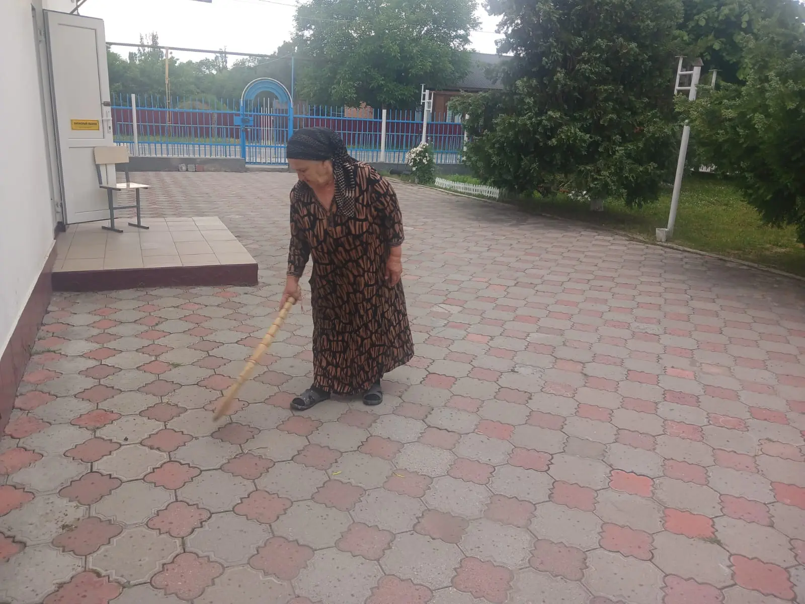 Сегодня работник МБОУ "ООШ с. Чири-Юрт" Юнусова Рашан провела работы по уходу за пришко...
