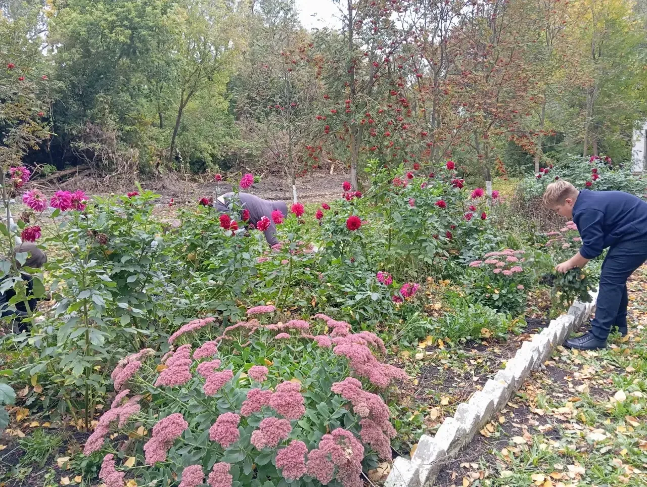 🌳 Неделя молодёжного служения: вместе делаем территорию школы лучше